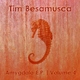 Tim Besamusca Amygdala E.P. Volume 4 Tim Besamusca Amygdala E.P. Volume 4