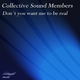 Collective Sound Members Don't You Want Me To Be Real