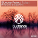Bluebear Project Twilight Bluebear Project Twilight