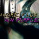 Andre Flux & Sun Purple Aroun The Sun