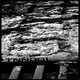 Andreas Florin Tech Noise Network