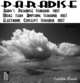 Norrin Radd Paradise