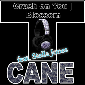 T.Cane - Crush On You (Sowhat) T.Cane - Crush On You (Sowhat)