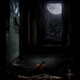 Debatable_Gorg Violins of Silence Debatable_Gorg Violins of Silence