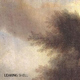 Leaking Shell Brown Smoke // Kitchen Session