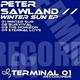 Peter Sawland Winter Sun 