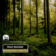 Klaus Benedek Screaming Woods