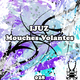 Ijuz Mouches Volantes