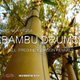 Sasha Avrosa Bambu Drums