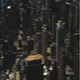 Alan Clein Concrete Jungle