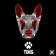 Tdxs Tdxs Debut
