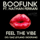 Boofunk ft. Nathan Ferrari Feel The Vibe (Remixes)