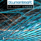 Blumenkraft In That Space