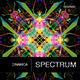 Dinamica Spectrum