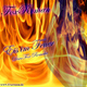Fox Roman Eis Im Feuer (Disco Fox)