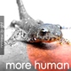 Andrew Bright More Human