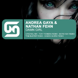 Damn Girl by Andrea Gaya & Nathan Fehn mp3 download