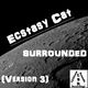 Ecstasy Cat Surrounded Ecstasy Cat Surrounded