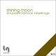 Experimental Feelings  Shining Moon