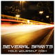 Several Spirits Hold Yourself High Several Spirits Hold Yourself High