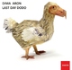 Dima Aron Last Day Dodo