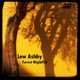 Lew Ashby Forest Nightlife