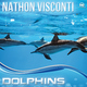 Nathon Visconti Dolphins