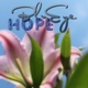 Blueye Hope