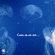 Subsotano Come As We Are