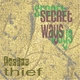Techno Thief Secret Ways