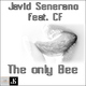 Javid Senerano The Only Bee
