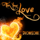 Prohibisound For Your Love