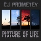 Cj Prometey Picture Of Life