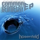 Hosenfeld Common Geometry
