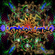 Methodic Marble Lost Cause