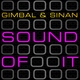 Gimbal & Sinan The Sound Of It