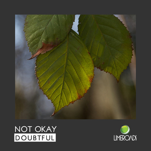 Not Okay - Doubtful  (Limeroads)