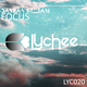 Damian William Focus Ep