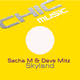 Sacha M & Dave Mitz Skyland