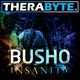 Busho Insanity