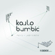 Karlo Bumbic Pan's Labyrinth