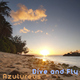 Azulureus Dive and Fly