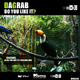 Dagrab Do You Like It