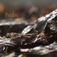 Pekans Isolator Ep