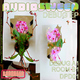Audiosweep Debug Ep