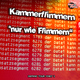Kammerflimmern Nur Wie Flimmern
