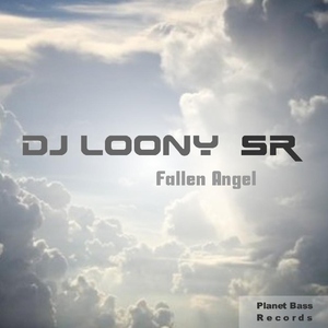 Dj Loony - Fallen Angel (PB-Records)