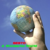SestoA Wonderful World