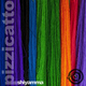Pizzicatto Shiyamma