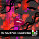 Lisandro Bass The Naked Pool